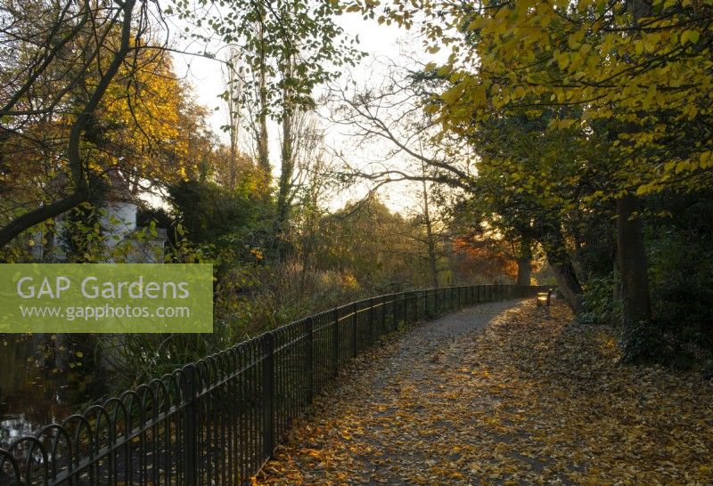 Autumn foliage and fallen leaves along a path and the Ionic Temple at Chiswick House and Garden.