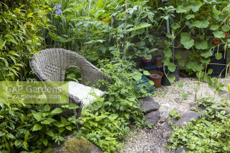 An old wicker chair provides a place to rest and contemplate the garden, quickly becoming a part of the garden itself as plants grow up around it. Come Cottage garden. NGS garden. Devon. July. Summer.