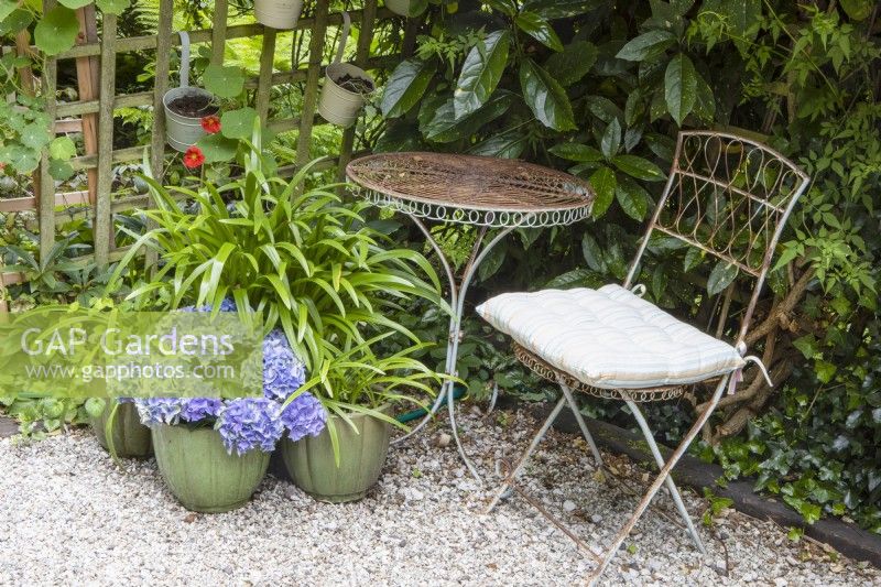A small round table and chair sits next to some pots planted with hydrangeas and greenery to add interest to an otherwise unused corner of a cottage style garden. Combe Cottage. NGS Garden. July. Summer.