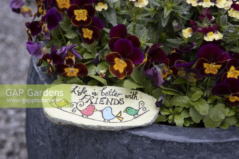 A pot planted with violas is brightened up further with a hand painted stone that reads, 'Life is better with friends'. A fun activity to do with children.