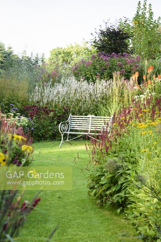 Metal bench surrounded by borders packed with herbaceous perennials including persicarias, echinaceas and eupatoriums at Highfield Farm in August.