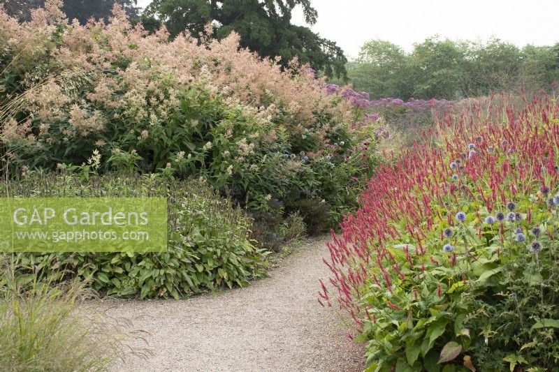 Pathway through the Floral Labyrinth at Trentham Gardens - September