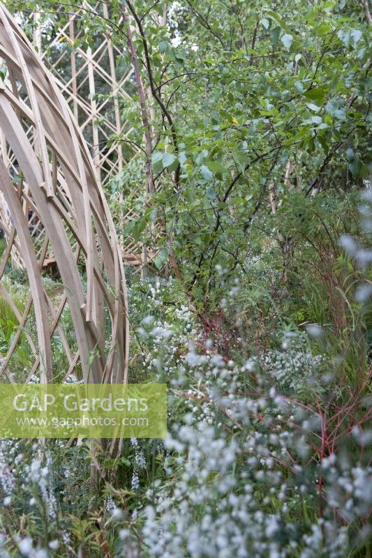 Guangzhou China: Guangzhou Garden. Designers: Peter Chmiel and Chin-Jung Chen. Geodesic Structure, lattice-work structures for sitting made from bamboo, Phyllostachys edulis. Chelsea Flower Show 2021 