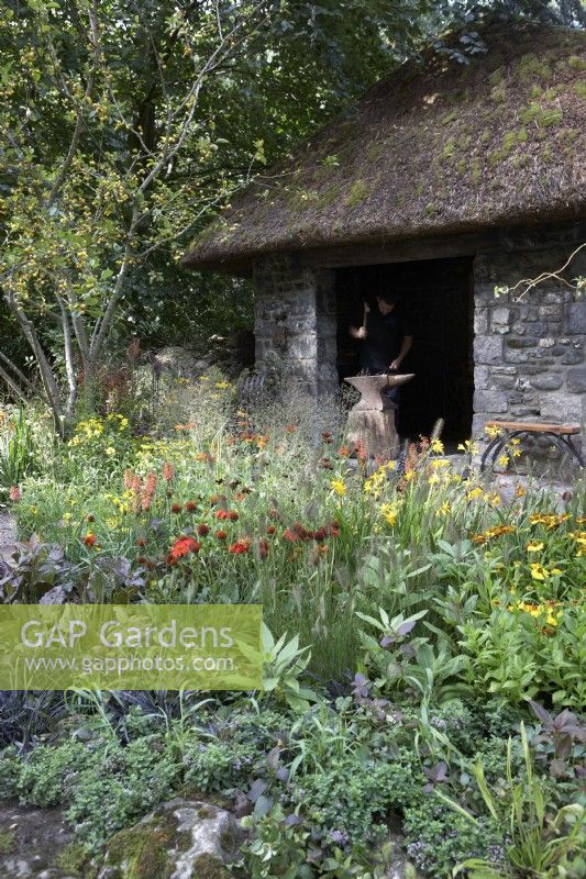 The Blue Diamond Forge Garden. Thatched hut with stone walls. Blacksmith working on anvil inside. Planting includes Crab-apple Malus 'Wintergold', Crocosmia 'George Davison' Montbretia, Helenium 'September Gold', echinacea, coneflower, Melica altissima, kniphofia and Helenium 'Kleine Aprikose'. Designers: The Blue Diamond Team. 