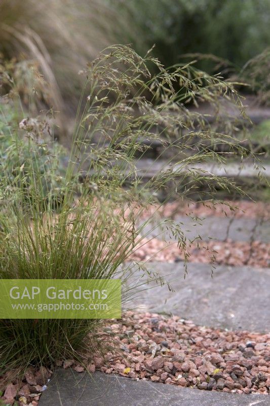 Gravel and stone pathway, interplanted with grasses