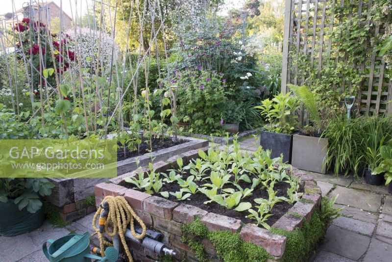 Vegetable garden area with raised beds made of brick and wooden sleepers and slab paths