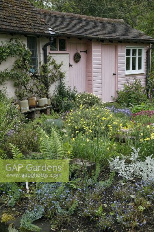 Pink outbuildings at Mill Street Gardens - May