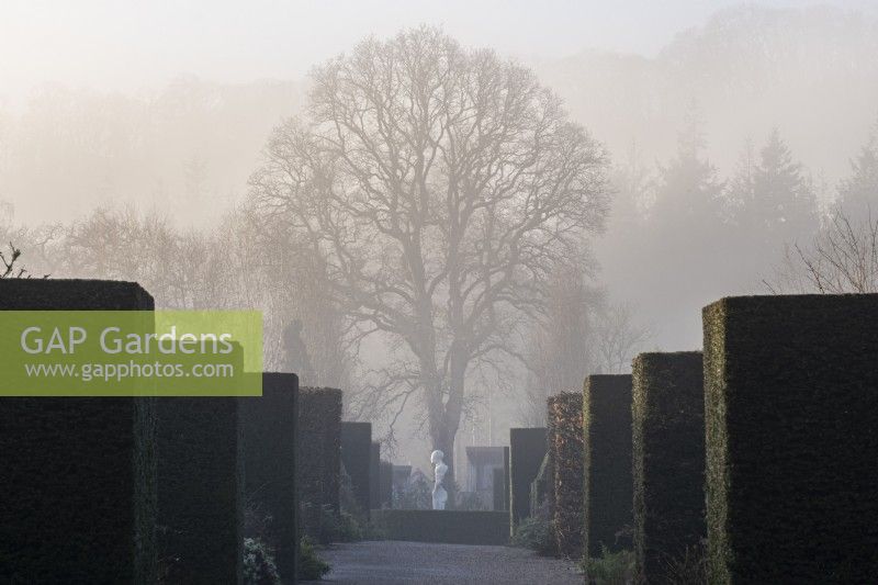 View along long borders at Rosemoor Gardens in winter