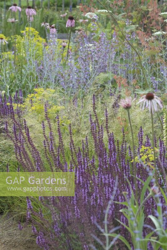  Mixed border in the Iconic Horticultural Hero Garden. A Climate Resilient Perennial Meadow. Hampton Court Flower Festival 2021