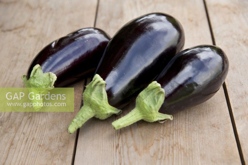 Aubergine 'Galine' on a wooden table
