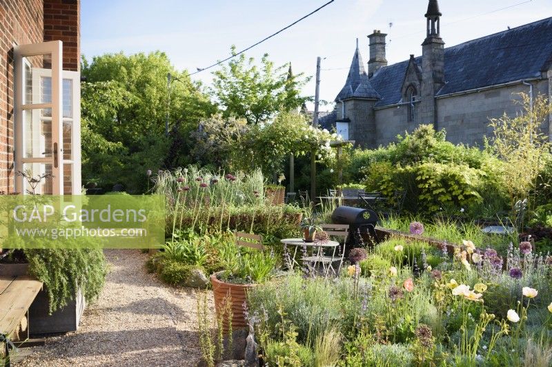 June garden full of alliums and poppies