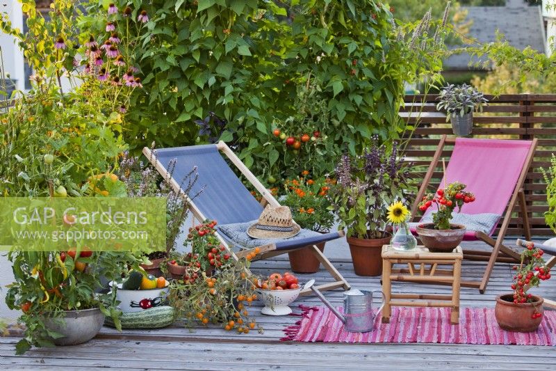 Decked roof terrace with deckchair, container grown herbs and vegetables.