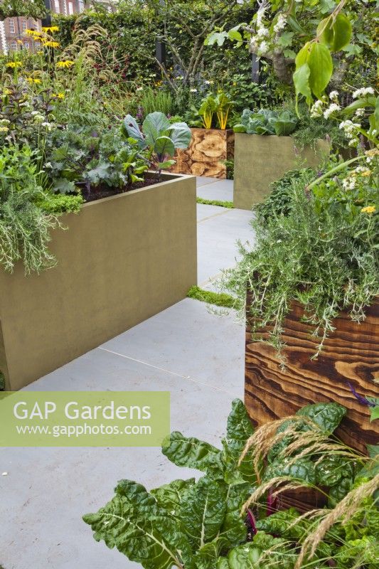 Contemporary kitchen garden with raised beds. The Parsley Box Garden, Chelsea Flower Show 2021