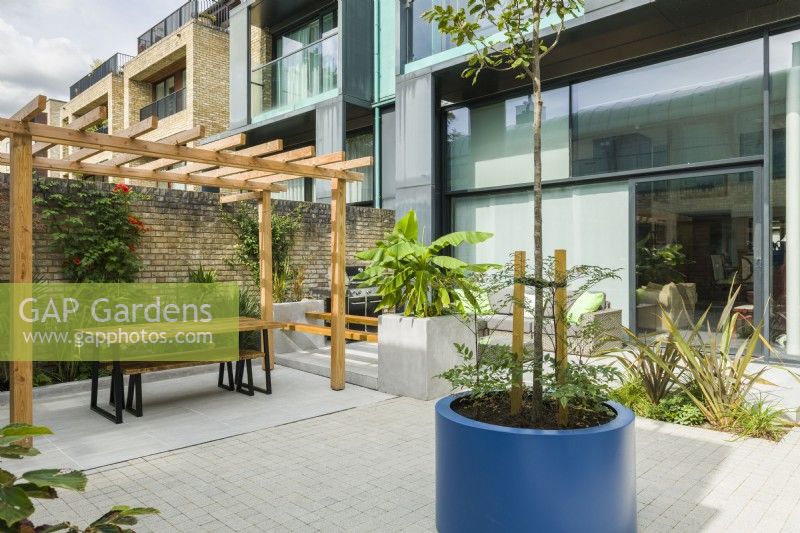 View of a contemporary courtyard garden with pergola, seating, large planters and plants with a tropical appearance. September