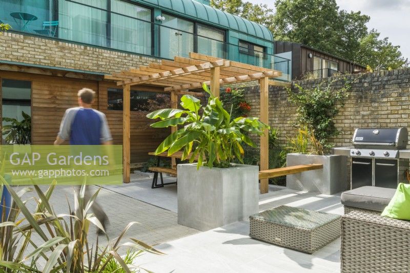 View of a contemporary courtyard garden with pergola, seating, barbeque, large planters and plants with a tropical appearance. September