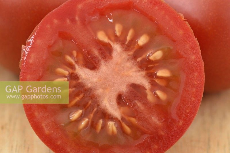 Solanum lycopersicum  'Ailsa Craig'  Tomato  Syn. Lycopersicon esculentum  Picked fruit one cut in half  August