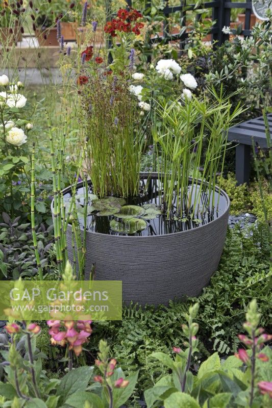 'From Hippocrates to Vaccines' at BBC Gardener's World Live 2021 - pond in a large pot set amonst mixed planting