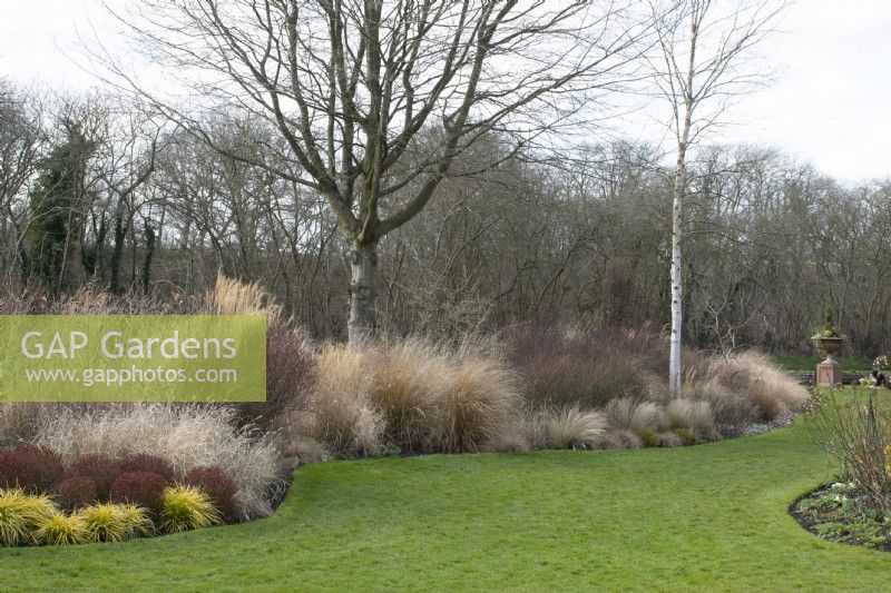 Long grass border in John's Garden at Ashwood Nurseries - Kingswinford - Spring
