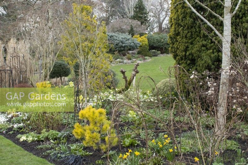 View through spring border in John's Garden at Ashwood Nurseries - Kingswinford - Spring