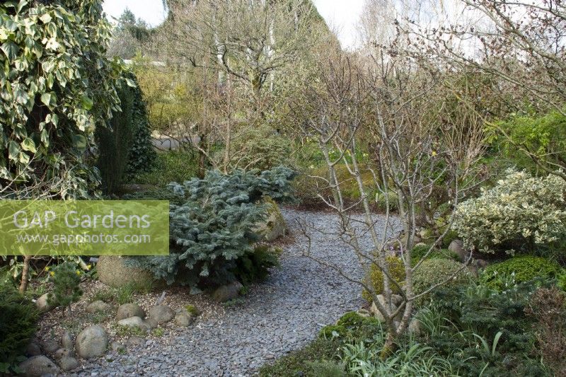 Pathway through John's Garden at Ashwood Nurseries - Kingswinford - Spring