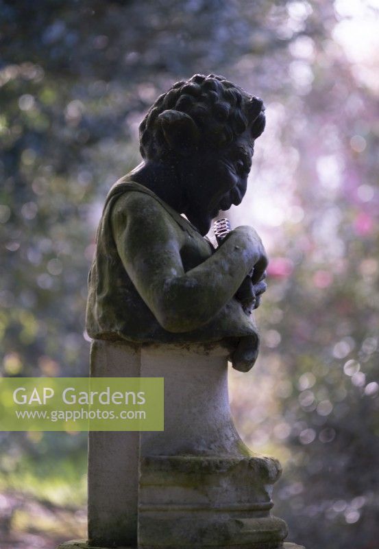 A lead sculpture of Satyr playing pipes surrounded by misty flowering Camellias at Thenford Arboretum