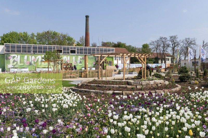 Torgau, Sachsen, Germany 3rd May 2022. 
LAGA Landesgartenschau Torgau 2022 State garden show.
Themed show gardens. Spring planting with a caleidoscope of tulip colours.