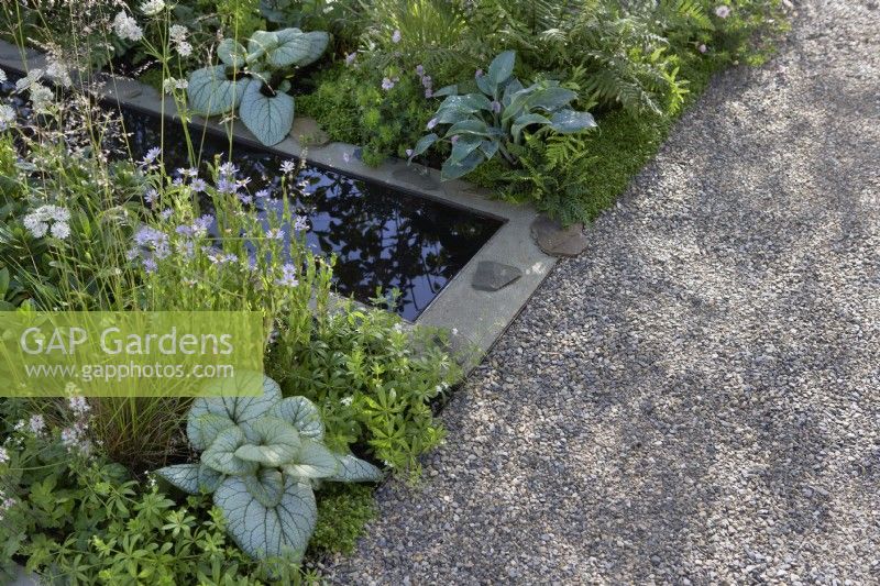 The Communication Garden. Designer: Amelia Bouquet.  Water rill with borders planted with Brunnera macrophylla 'Jack Frost', Kalimeris incisa 'Blue Star', astrantia, Galium odoratum - Sweet Woodruff and Tiarella 'Spring Symphony'.  RHS Hampton Court Palace Festival 2021.