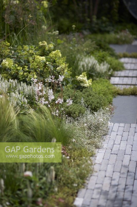 The Viking Friluftsliv Garden. Designer: Will Williams. Pale stone cobbled pathway with green and white theme borders. Plants include hydrangeas, gaura, hebe and ornamental grasses RHS Hampton Court Palace Festival 2021