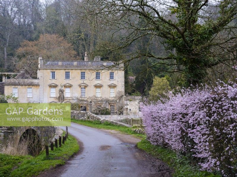 View of Iford Manor House with Prunus cerasifera, the cherry plum, pink flowering in a hedgerow in the foreground. Early Spring, UK.