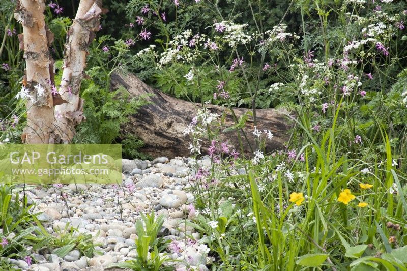 Wildflower planting in 'The Hide Garden' at the RHS Malvern Spring Festival 2022  - Designer - Emily Crowley-Wroe - Best in Show - Silver Gilt Medal