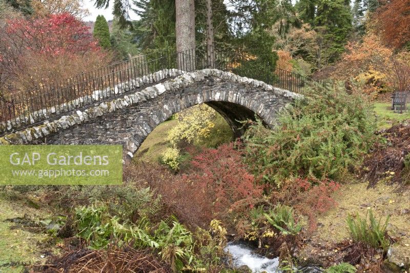 Autumn colour surrounding the Swiss Bridge and Scrape Burn at Dawyck Botanic Garden, Peebleshire, Scotland