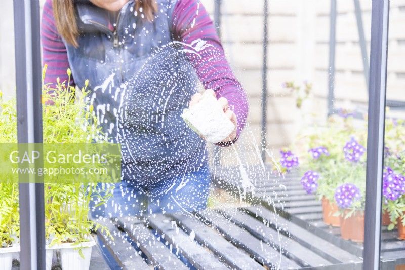 Woman cleaning glass panel on a greenhouse