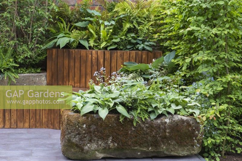 An old stone trough is planted with damp-loving hostas, ferns and brunneras.
