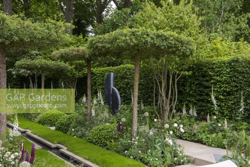 A classical, contemporary garden, with central rill edged in camomile, features flat-topped hawthorns, Crataegus monogyna, above white and green themed borders planted with alliums, foxgloves and peonies.