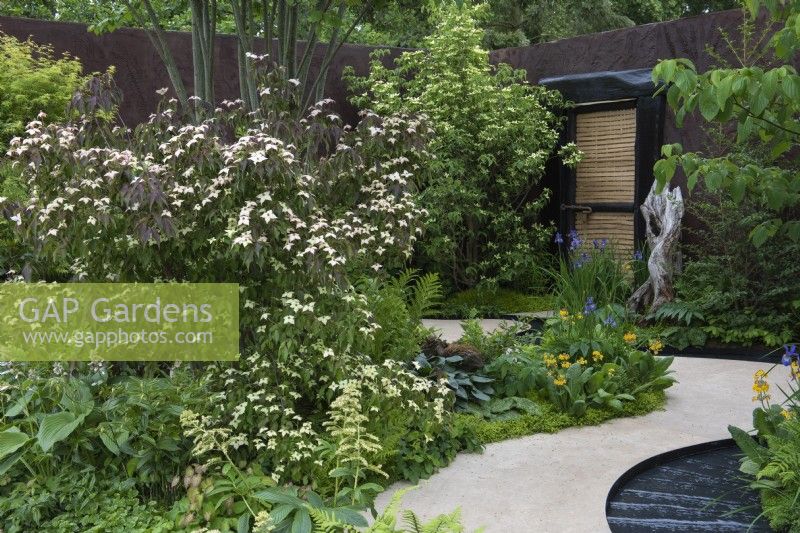 A path and rill curves round a bed planted with Cornus kousa var. chinensis above shade-loving hostas, primulas, irises and disporum.