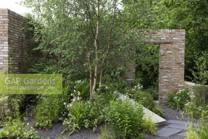 A sustainable and environmentally-aware garden created on an imaginary brownfield site, and planted with a Chinese red birch, Betula albosinensis, and a mix of low maintenance shrubs and perennials to provide nectar and shelter for pollinators.