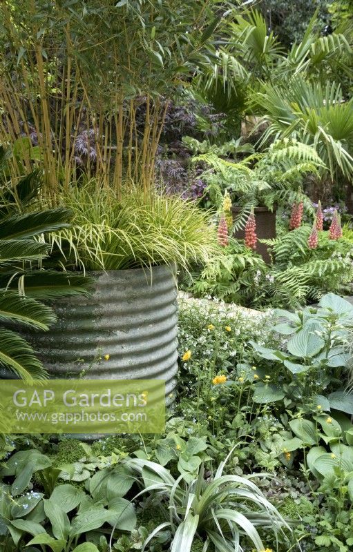  Rustic ribbed galvanised metal planter with grasses and bamboo in tropical style garden