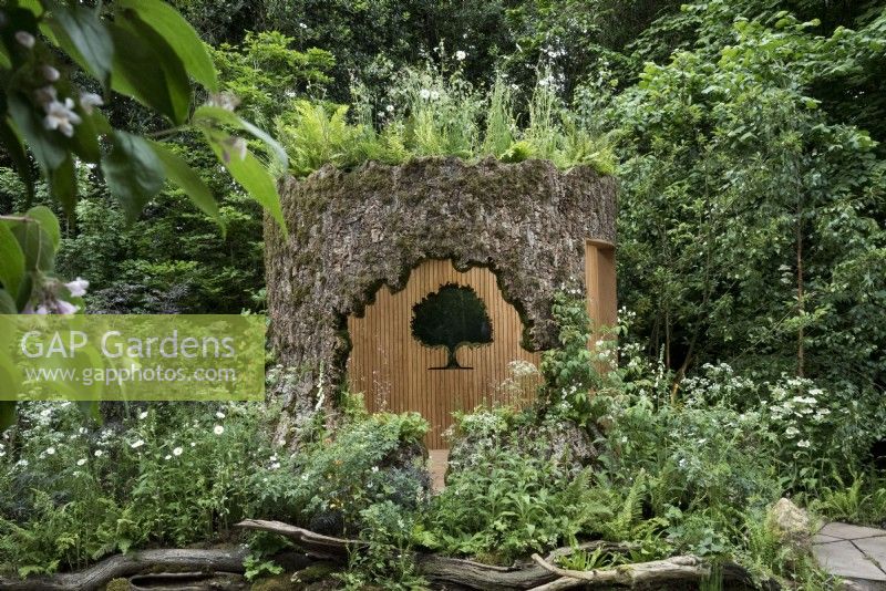Woodland Connected Garden depicting hollowed out tree trunk in naturalistic woodland setting