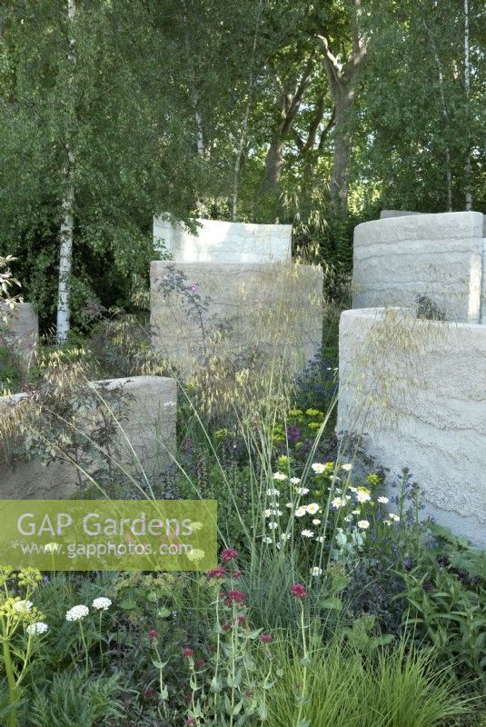 The Mind Garden, textured clay rendered walls frame meadow planting in woodland setting.