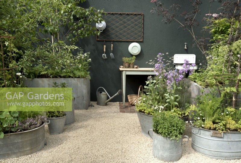 Kitchen garden planted in reclaimed galvanised metal planters with garden  sink and table.