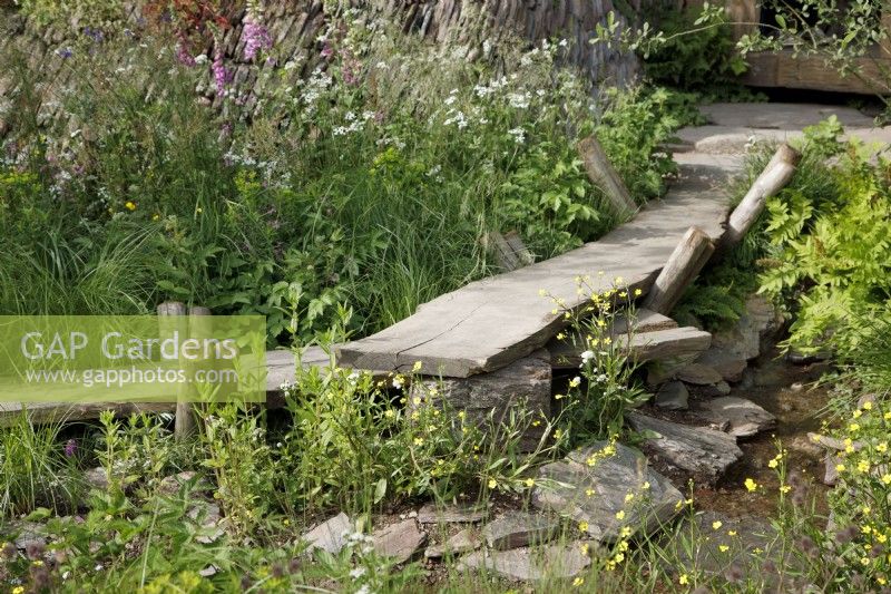View of the reclaimed oak boardwalk in A Rewilding Britain Landscape which leads across the weatland meadow with marginal plants and native wildflowers - Designers: Lulu Urquhart and Adam Hunt - Sponsor: Project Giving Back.