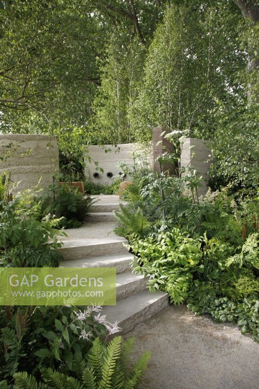 In The Mind Garden, steps of purbeck stone lead to an enclosed area, the planting includes Beesia calthifolia, Blachnum spicant, Dryopteris wallichina, Maianthemum oleraceum and Angelica dahurica - Designer: Andy Sturgeon - Sponsor: Project Giving Back.