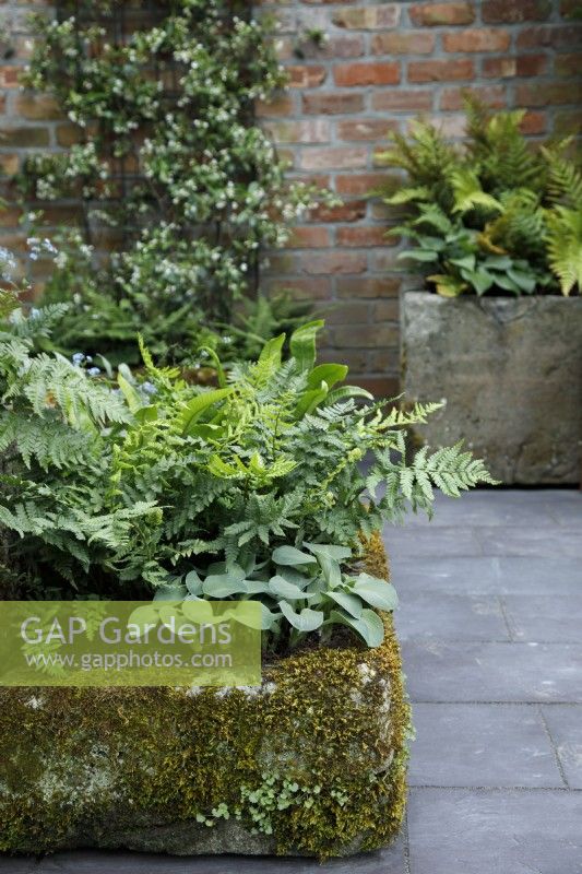 A rough stone reclaimed planter is filled with plants thriving in wet conditions including Hosta and ferns, in The Enchanted Rain Garden - Designer Bea Tann - Sponsor: The University of Sheffield Landscape Department