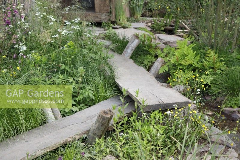 View of the reclaimed oak boardwalk in A Rewilding Britain Landscape which leads across the weatland meadow with marginal plants and native wildflowers - Designers: Lulu Urquhart and Adam Hunt - Sponsor: Project Giving Back.