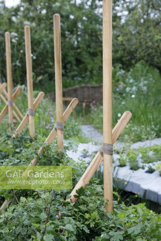 These supports for the hedgerow are handmade with chestnut and hemp braid cord in The hedgerow Alder Hey Urban Foraging Station Garden -Designers: Howard and Hugh Miller - Sponsor: Project Giving Back.