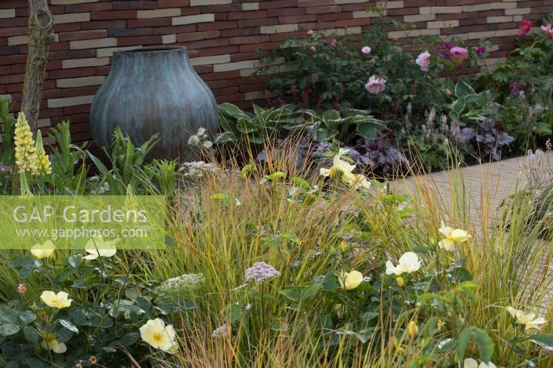 Border with Anemanthele lessoniana, Rosa 'Tottering by Gently' and Pimpinella major 'Rosea' - The Stitcher's Garden, RHS Chelsea Flower Show 2022