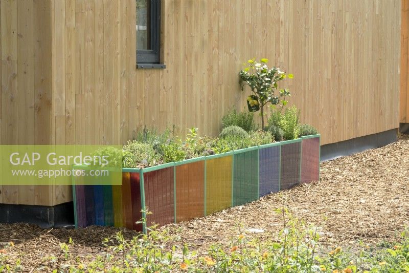 Modern colourful transparant plant containers.