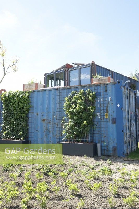 Tiny house made of sea containers with vertical garden planting.