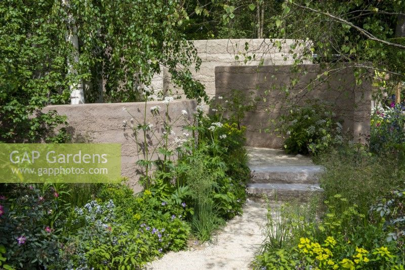 Path leading through curved walls with mixed planting of Valerian officinalis, Briza media and Euphorbia with overhanging birch trees - The Mind Garden, RHS Chelsea Flower Show 2022 - Gold Medal