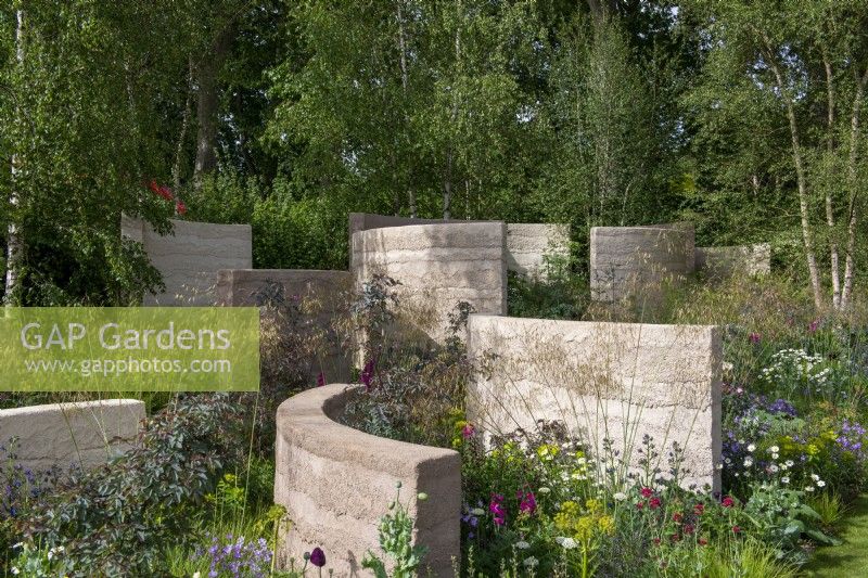 Curved rendered walls on a sloping garden, interplanted with Stipa gigantea, Rosa glauca - The Mind Garden, RHS Chelsea Flower Show 2022 - Gold Medal